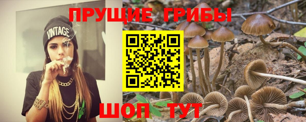 Маркс  Псилоцибиновые грибы ЛСД  Вход с VPN  Псилоцибиновые грибы MAGIC MUSHROOMS 